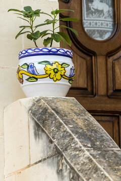 Decorative Ceramic Flower Pot With Green Plant on Stone Staircase by Wooden Door
