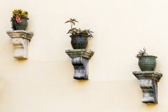 Three Wall Planters With Potted Succulents on Pale Yellow Stucco Exterior