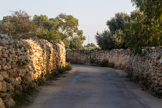 Sunlit Country Lane With Traditional Dry Stone Walls and Olive Trees in Rural Landscape
