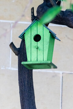 Green Wooden Birdhouse Mounted On Tree Trunk In Backyard Garden Close-Up