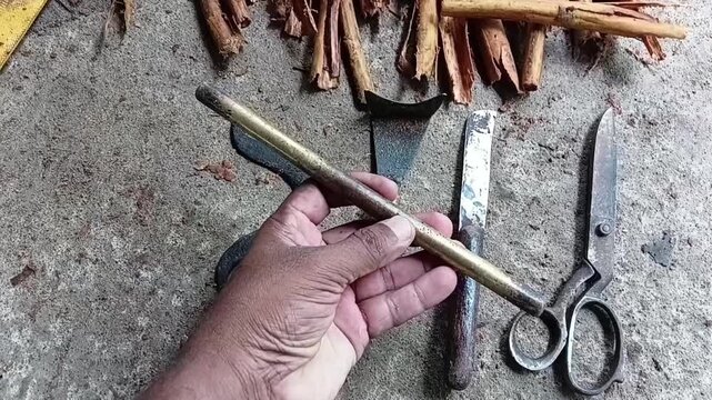 Horizontal view of artisan hand holding traditional brass rubbing rod used for cinnamon bark loosening