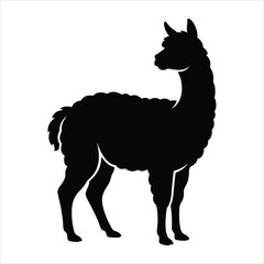 Fototapeta premium Alpaca standing looking back silhouette vector illustration on white background
