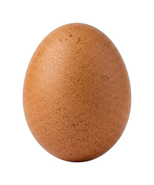 Single speckled brown chicken egg for food packaging isolated on transparent background