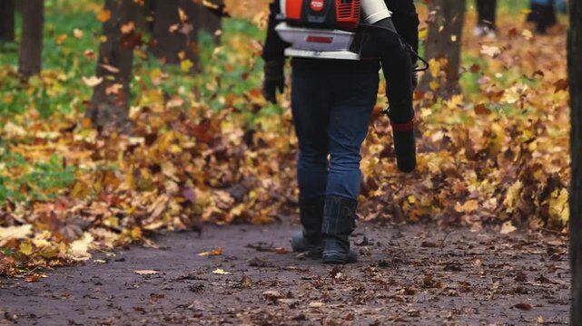 Worker with a backpack petrol leaf blower removing fallen autumn leaves on a park path, seasonal cleaning of yellow and brown foliage with garden power tools, municipal park maintenance in autumn