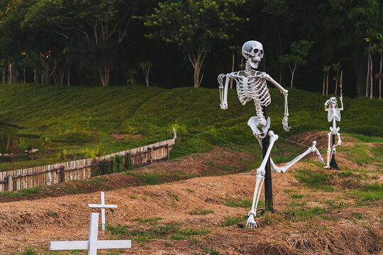 Human skeleton props decorated in outdoor field for Halloween festival display. Plastic human skeleton models mounted on poles along grassy field with white cross markers. Halloween event decorations,