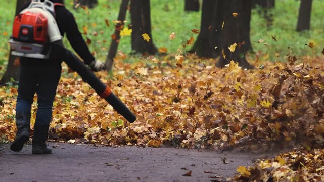 Worker with a backpack petrol leaf blower removing fallen autumn leaves on a park path, seasonal cleaning of yellow and brown foliage with garden power tools, municipal park maintenance in autumn
