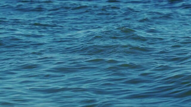 Continuous movement of gentle blue ocean waves under bright daylight. Natural seawater texture and flowing wave patterns suitable for marine backgrounds, travel, coastal lifestyle, relaxation and envi