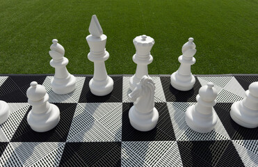 White chess pieces arranged on large outdoor chessboard © Phlegmatic Tigress
