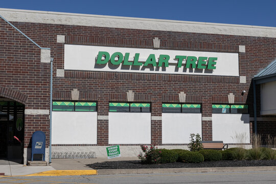 Dollar Tree Discount Store. Dollar Tree offers an eclectic mix of products for a dollar and a quarter. Or more.