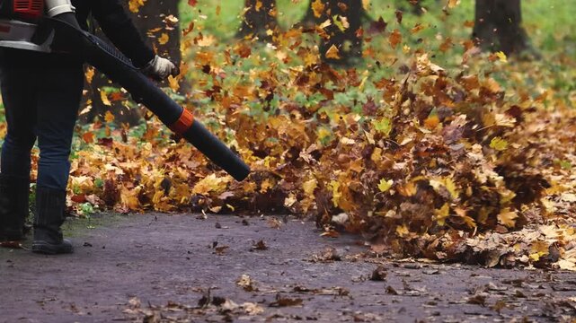 Worker with a backpack petrol leaf blower removing fallen autumn leaves on a park path, seasonal cleaning of yellow and brown foliage with garden power tools, municipal park maintenance in autumn