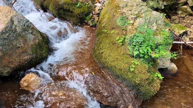 Small creek flowing through rocky woodland. Water cascades over moss-covered stones in a shallow woodland stream under natural daylight.