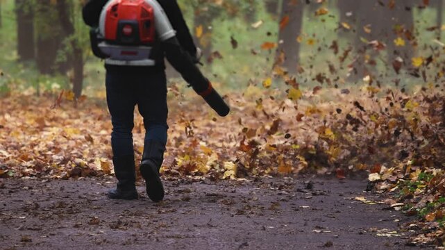 Worker with a backpack petrol leaf blower removing fallen autumn leaves on a park path, seasonal cleaning of yellow and brown foliage with garden power tools, municipal park maintenance in autumn