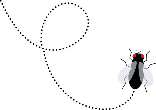 Fly with dotted path. Flying Insect.