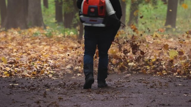 Worker with a backpack petrol leaf blower removing fallen autumn leaves on a park path, seasonal cleaning of yellow and brown foliage with garden power tools, municipal park maintenance in autumn