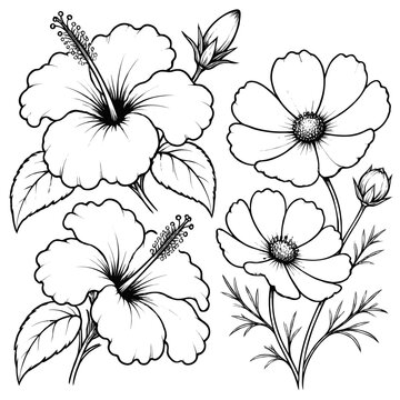 Monochrome botanical line art with clustered flowers and leaves