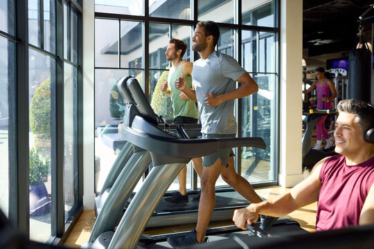 Treadmills and Rowing Machine by large windows