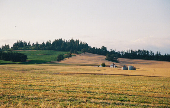Wheat Field Farm  Willamette Valley Oregon Film