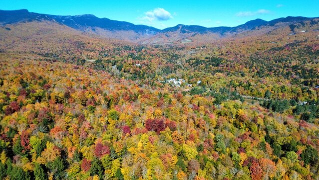 Beautiful Fall Foliage Colors in the Mountains