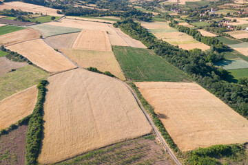 Fototapeta premium Aerial view of patchwork agricultural fields divided by a rural dirt road at harvest season.