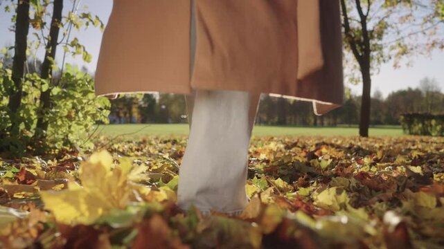 Close-up of woman's shoes stepping on dry golden autumn leaves in sunny park, low angle view of soles and rustling foliage, slow motion