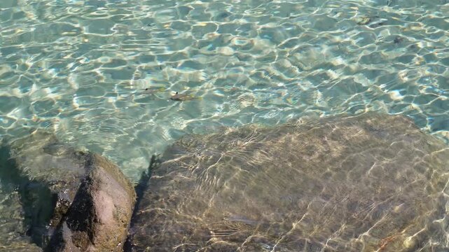 Sunlight Ripples on Crystal Clear Sea Water