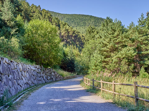 Cam&iacute; de les Pardines in summer, hiking trail in Encamp. Andorra, Europe