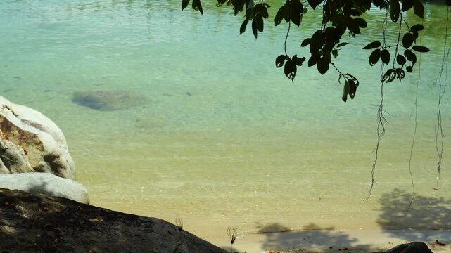 Calm Tropical Beach Viewed Through Tree Shade