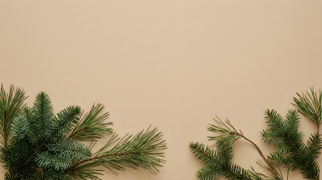 Minimalist christmas background with natural pine branches on a beige