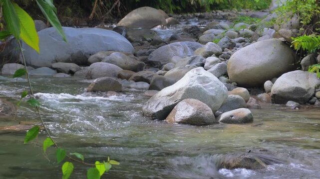 Shallow Rocky River With Crystal Clear Water