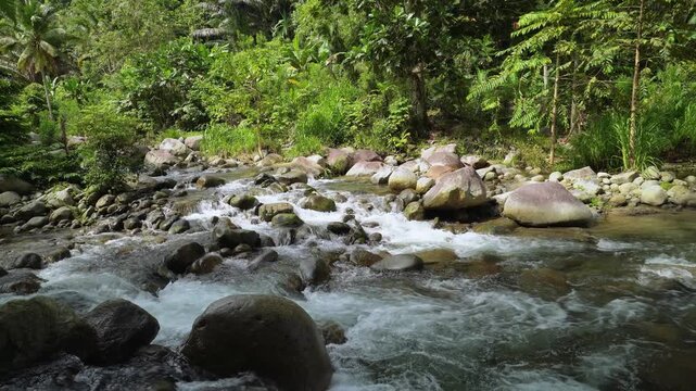 Rocky Tropical River Flowing Through Lush Forest