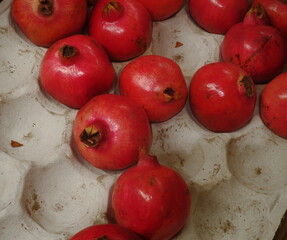 Ripe Pomegranates Arranged on Pale Surface © Sabina