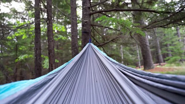POV view looking out from inside a blue and grey nylon hammock suspended between trees in a dense forest woodland.