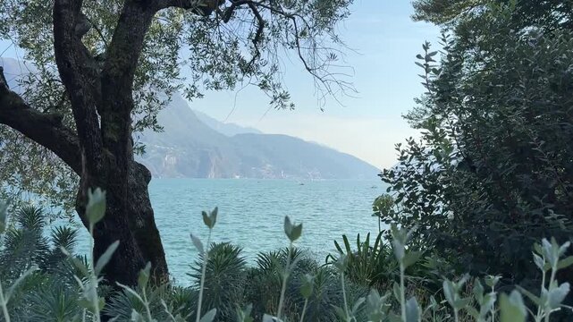 Vista lago da un parco con alberi e fiori