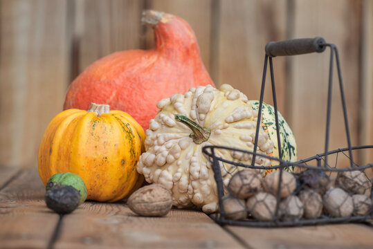autumnal vegetables and fresh nuts in a little basket  squash and decorative gourd  on a wooden table