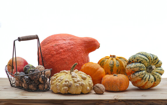 autumnal vegetables and fresh nuts in a little basket  squash and decorative gourd  on a plank and white empty space background