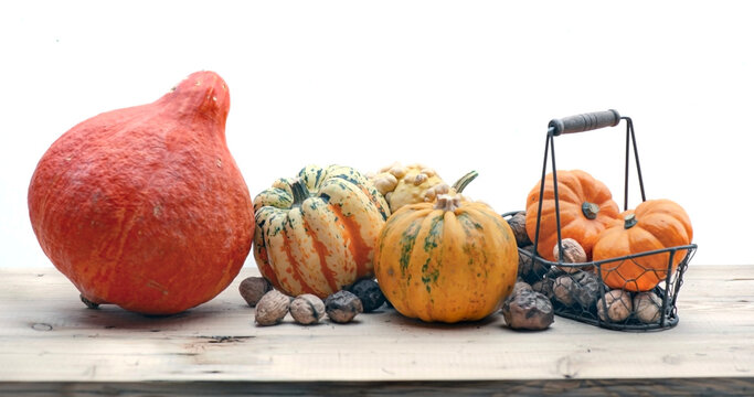 autumnal vegetables and fresh nuts in a little basket  squash and decorative gourd  on a plank and white empty space background