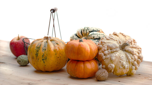 autumnal vegetables and fresh nuts in a little basket  squash and decorative gourd  on a plank and white empty space background