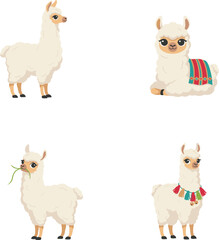 Fototapeta premium Cute White Llama and Alpaca Vector Character Set with Traditional Andean Poncho Blanket Tassels and Grass for Peru Travel Designs