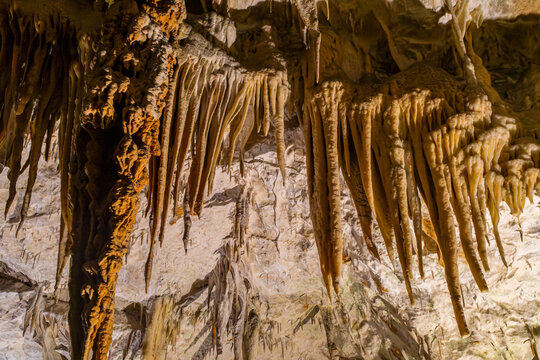 Large hanging stalactites illuminated inside Postojna Cave, Slovenia