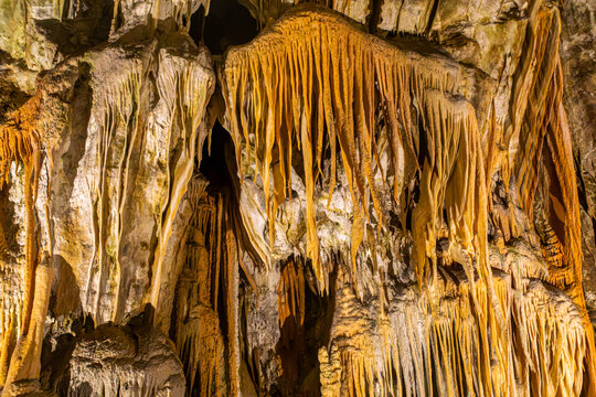 Golden stalactite curtains and limestone formations inside Postojna Cave, Slovenia