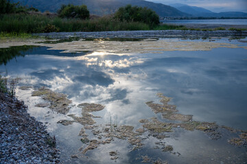 Wasserpflanzen treiben auf der Wasseroberfläche © Kostas Koufogiorgos