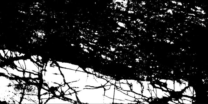 Scratched and Cracked Grunge Urban Background Texture Vector. Dust Overlay Distress Grainy Grungy Effect. Distressed Backdrop Vector Illustration. Isolated Black on White Background. EPS 10.