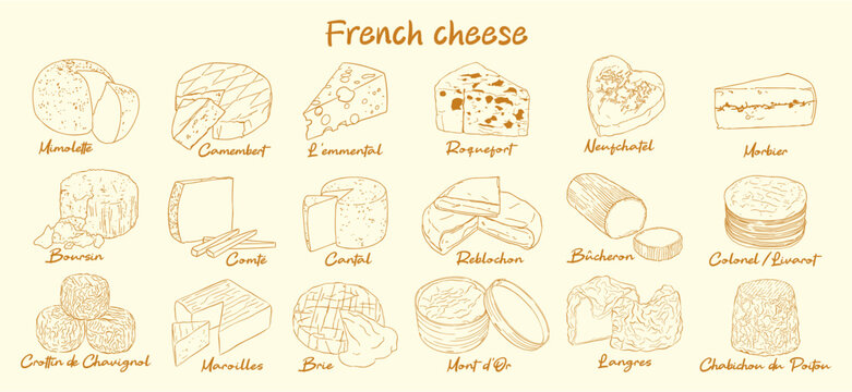 Hand drawn vector illustration collection of various traditional French cheeses with labels, including Camembert, Brie, Roquefort, Comte, Reblochon, Mimolette.  in ink Doodle style illustration.