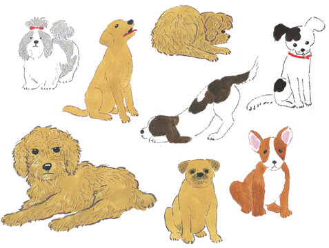 set of dogs