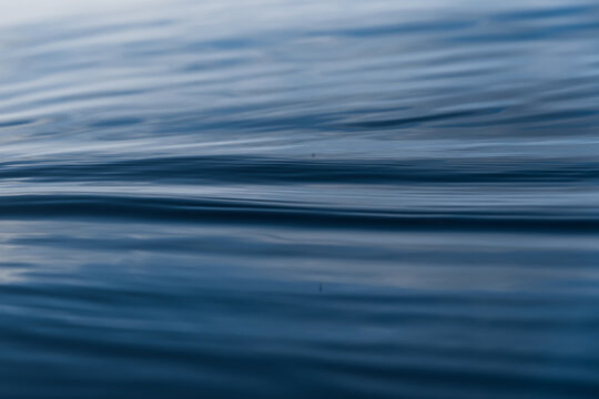 Soft blue horizontal water ripples create a natural background