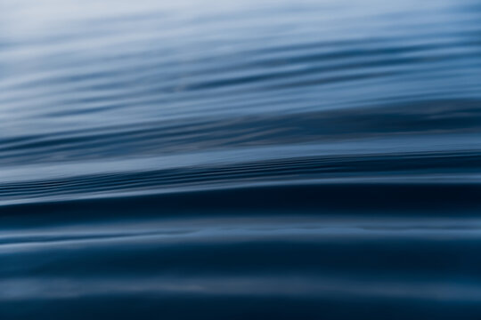 Soft blue horizontal water ripples create a natural background