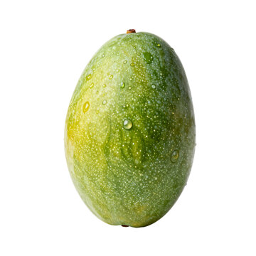 Single unripe green mango with water droplets on white background