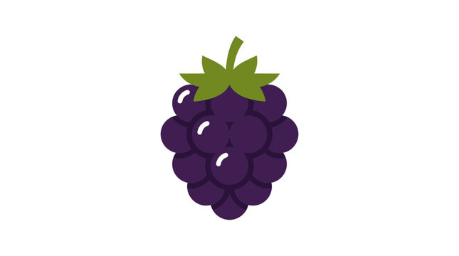 Flat Vector Illustration of a Ripe Purple Blackberry Fruit Isolated on White