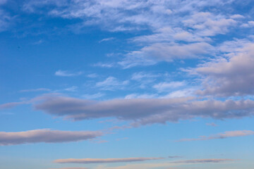A clear blue sky is filled with soft light clouds creating a peaceful and harmonious atmosphere. Featherية and stratified cloud formations drift gracefully across the vast open space. © Олег Струс