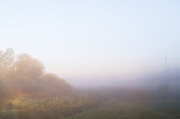 Mgła zasłania skupisko drzew i odległą wieżę radiową nad trawiastym polem i niską roślinnością pod bladym, łagodnie gradientowym niebem. © TomashRyś